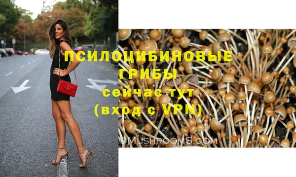 спиды Верея