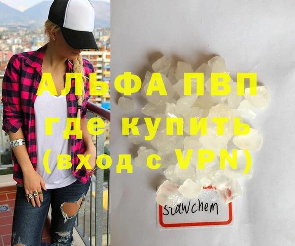 спиды Верея