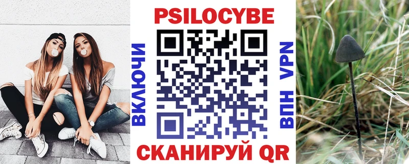 где продают   Новороссийск  Псилоцибиновые грибы GOLDEN TEACHER 